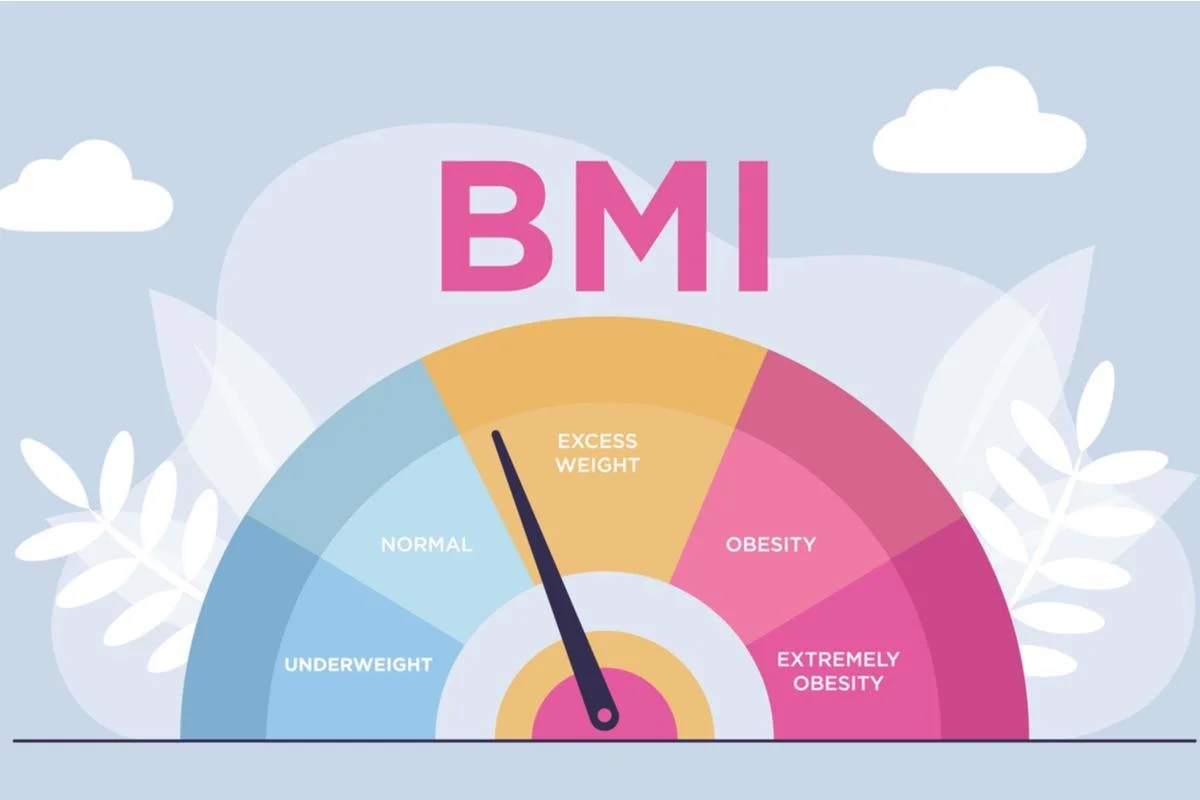 BMI Calculator Explained What Your Results Really Mean